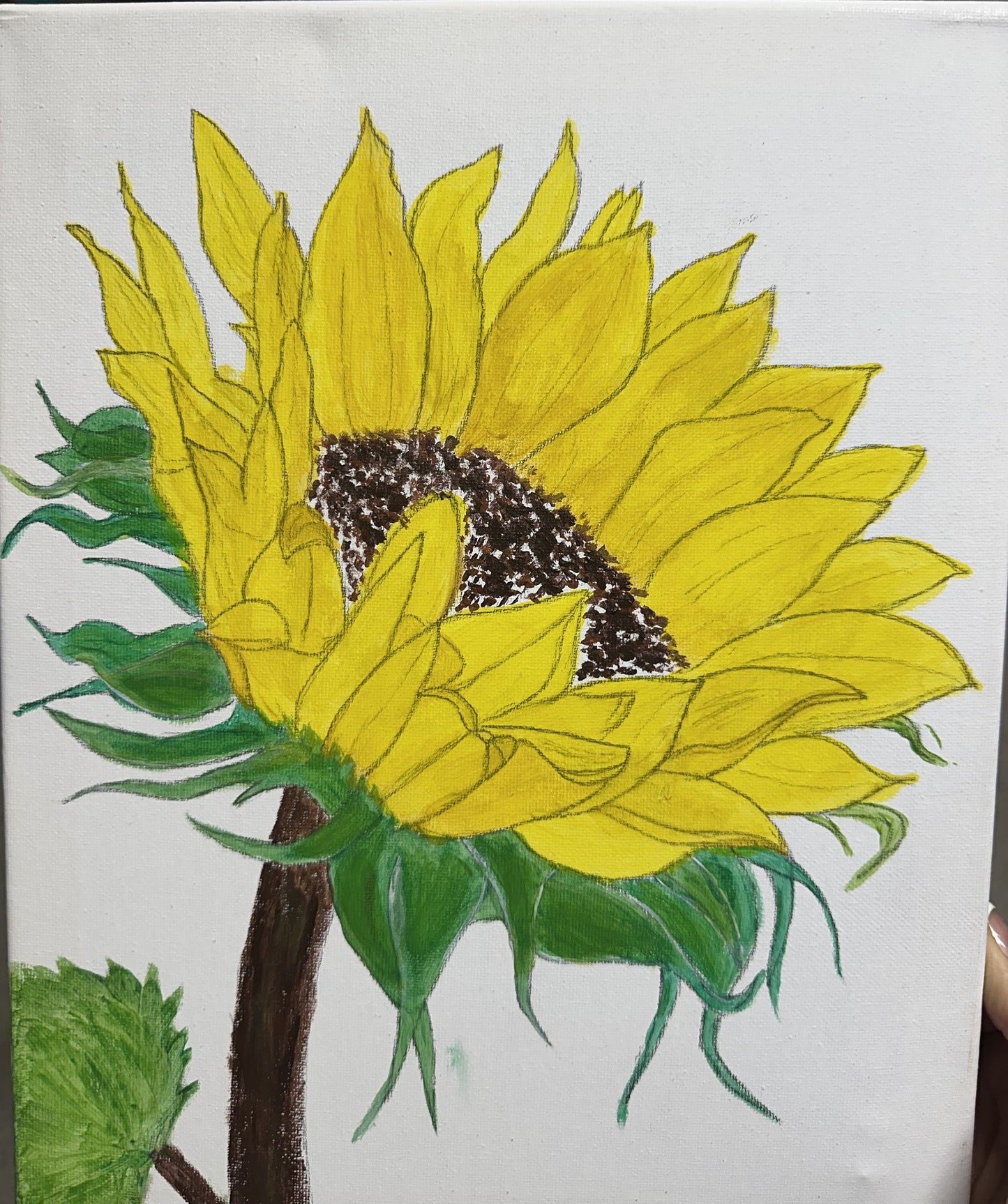 Sunflower Art