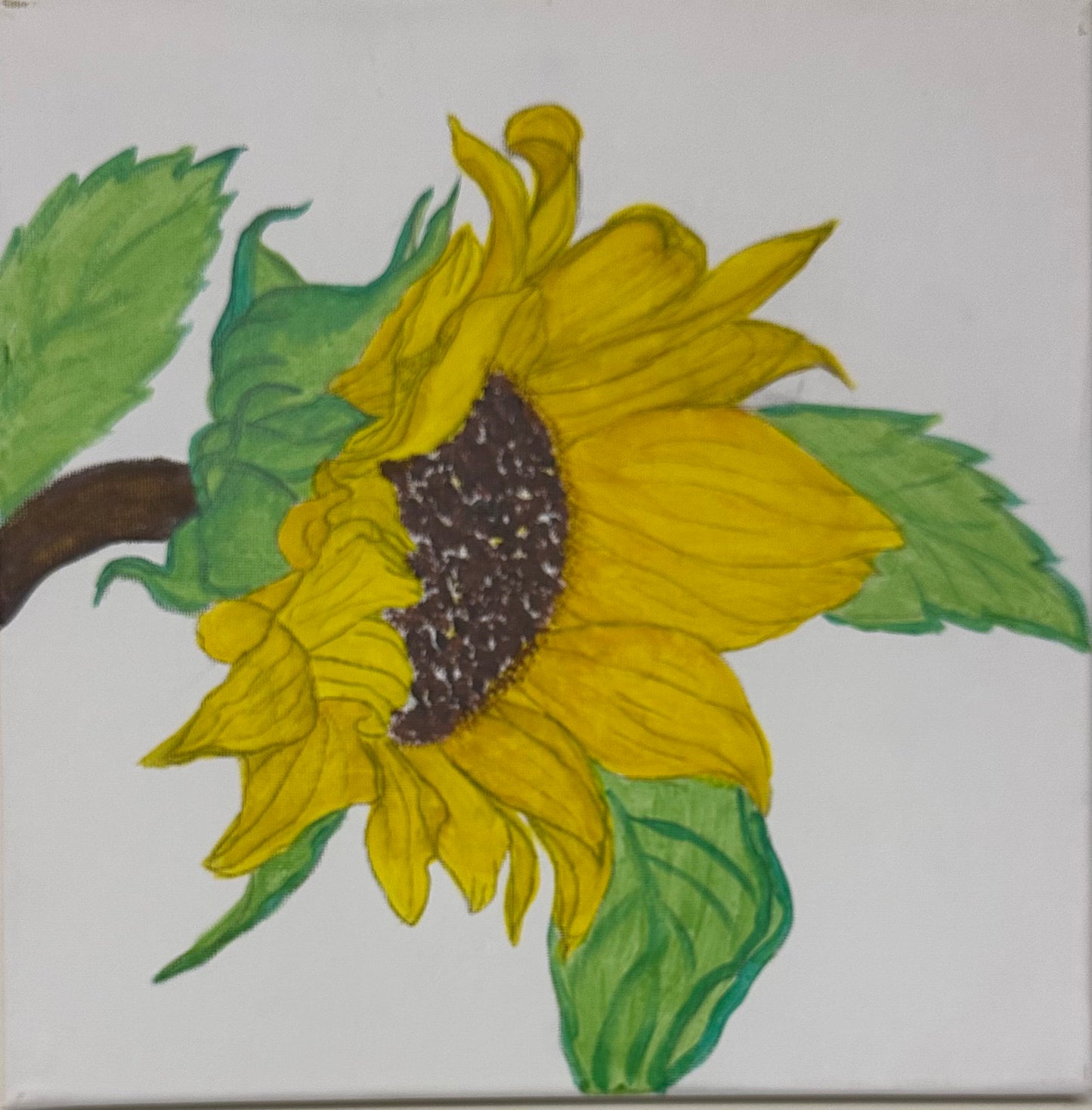 Sunflower Art