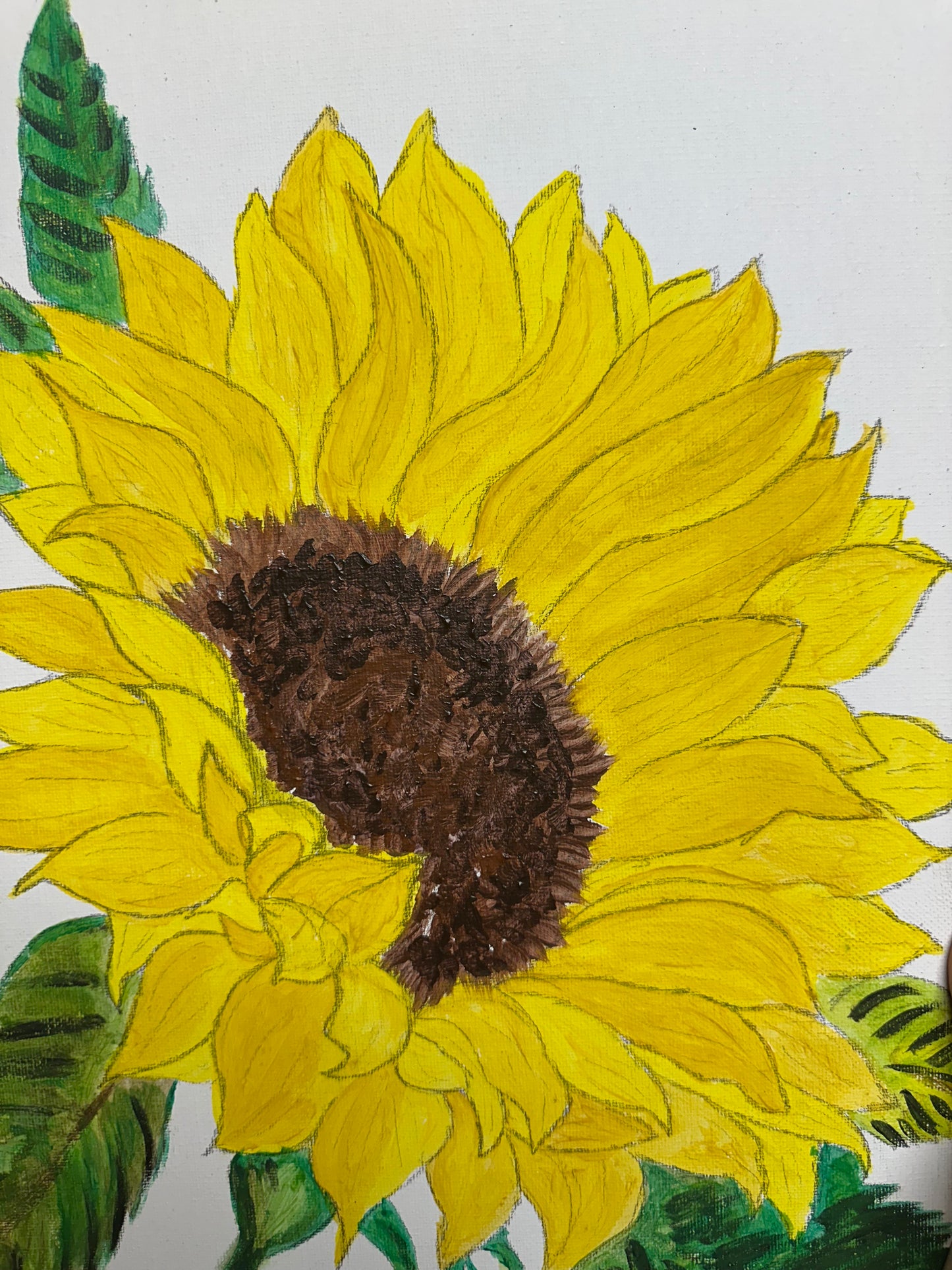 Sunflower Art