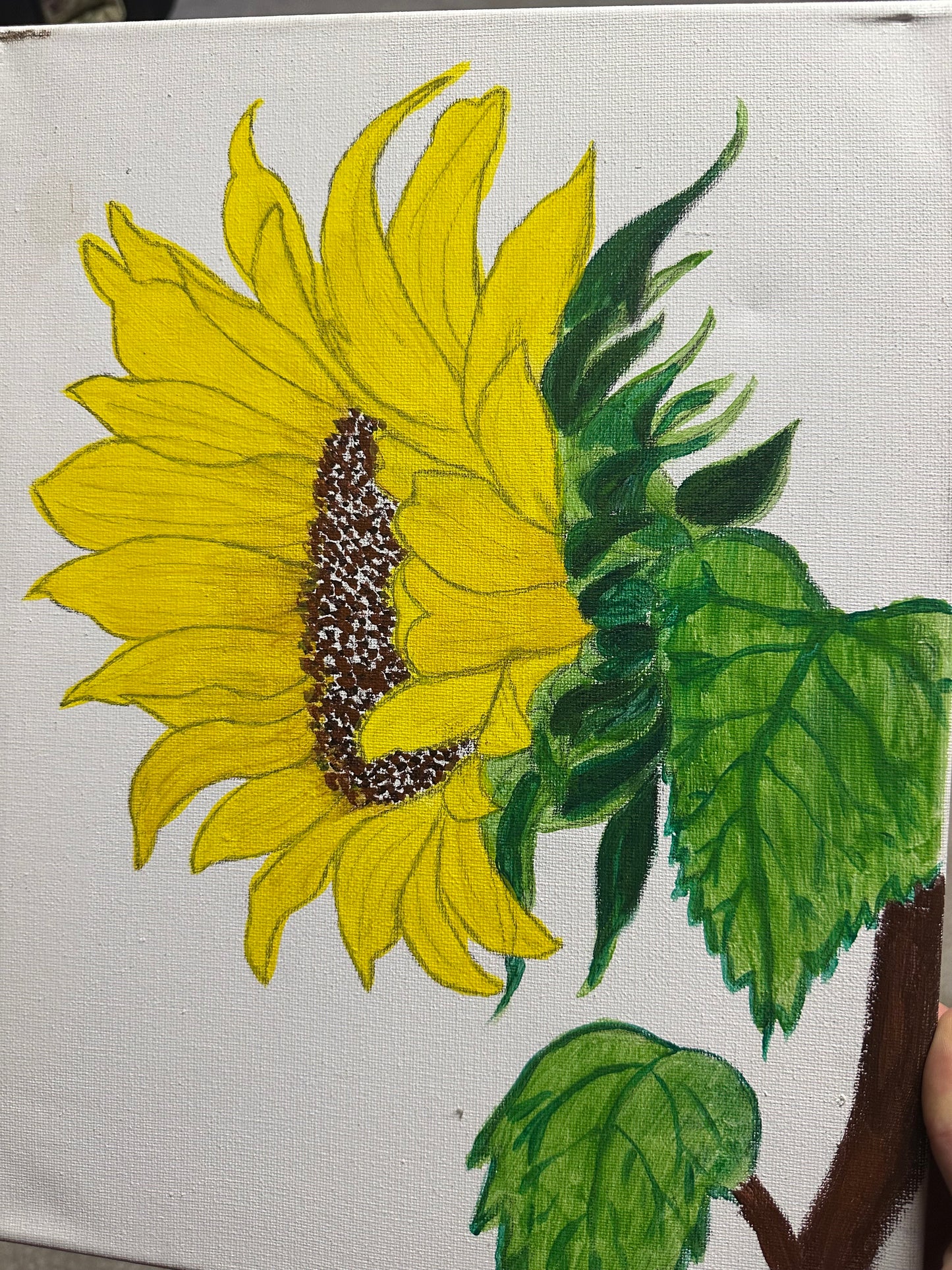 Sunflowers Art